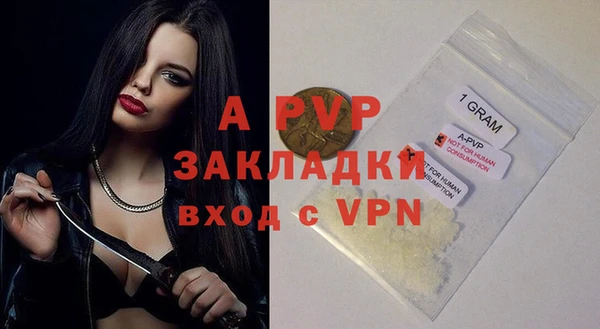 стаф Арсеньев