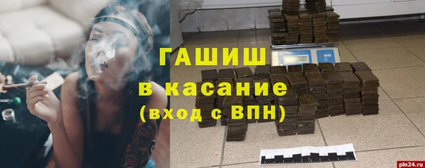 стаф Арсеньев