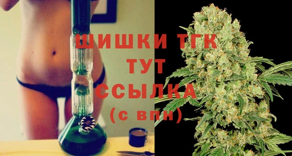PSILOCYBIN Балахна
