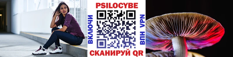 Псилоцибиновые грибы Psilocybine cubensis кракен зеркало Калуга