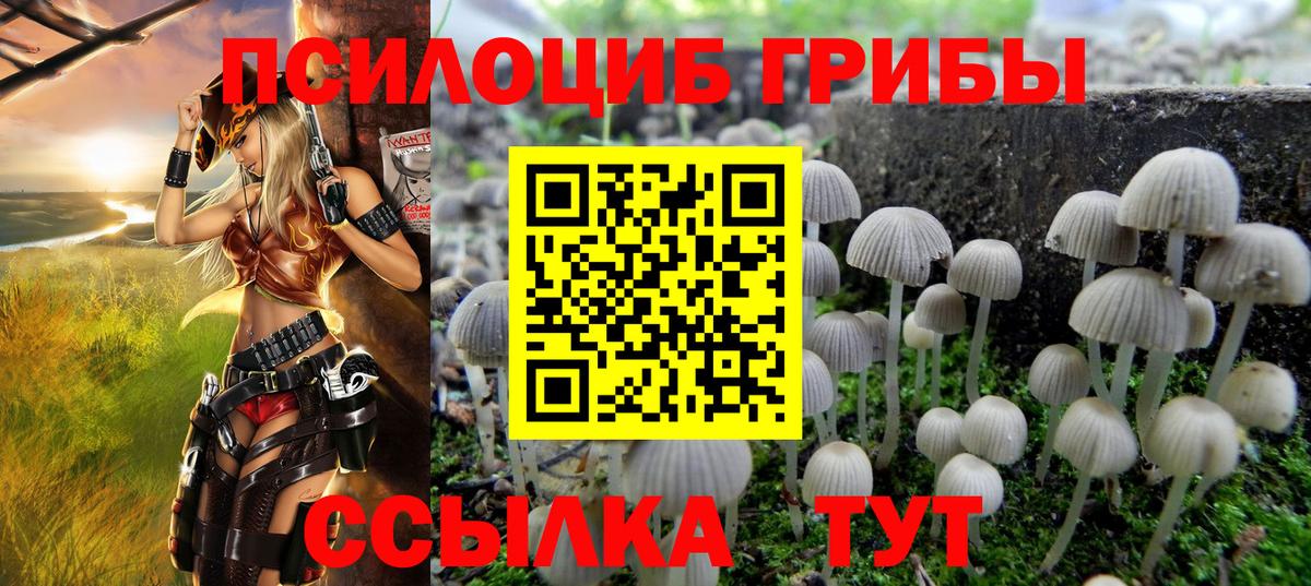 Калуга  Галлюциногенные грибы прущие грибы  Галлюциногенные грибы Magic Shrooms  Вход с VPN 